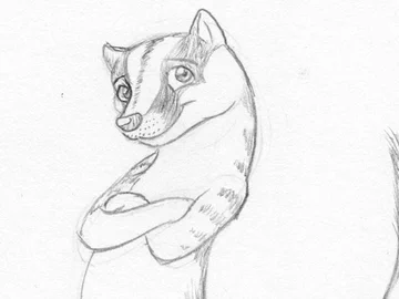 Banded Palm Civet