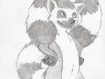 Joink the Ringtail