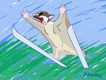 Sugarglider Skijump