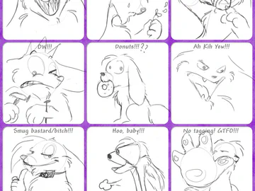 Expression Meme