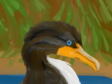 Double-crested Cormorant