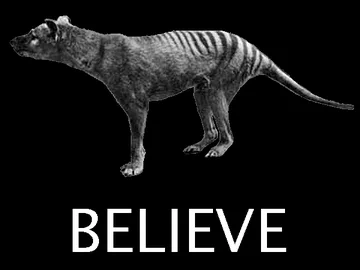 I WANT TO BELIEVE