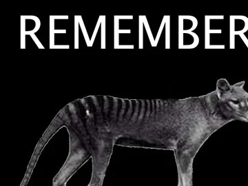 Remember 7 September 1936