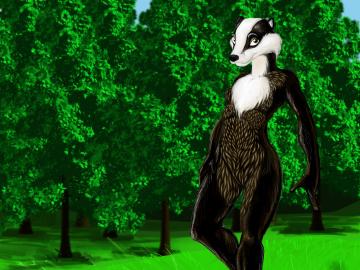 Badger Fem - more progress