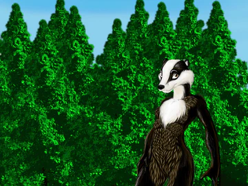 Badger Fem - more progress