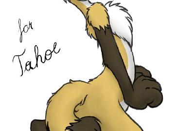 for Tahoe