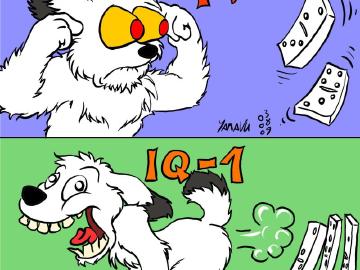 FPS - Mutt Domino