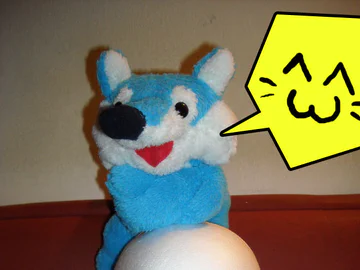 Little blue fox