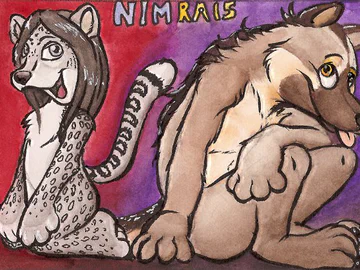 ACEO - the faces of Nimrais