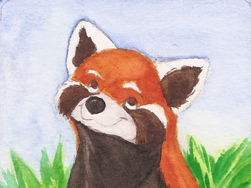 ACEO - Red Panda WIP