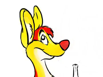 Sodapop Roo - Frucade