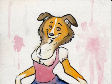collie curtsey