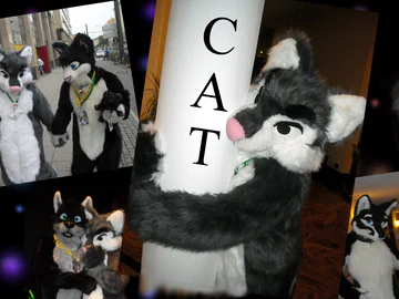 Cat (Fursuit #3)