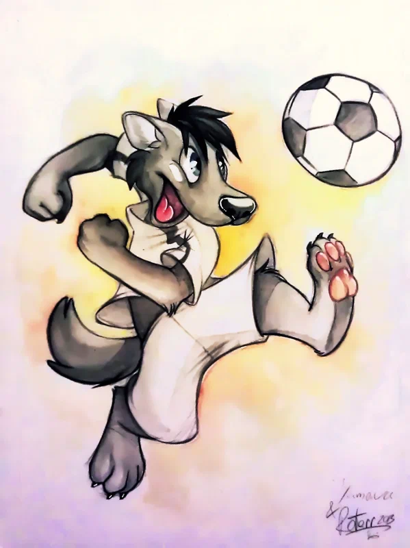 wulf-football-collab-ro.jpg