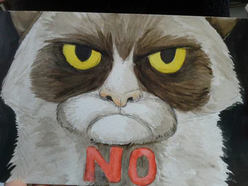 NO (Watercolor Photo)
