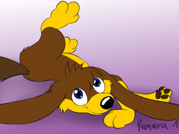 Dog Gravity