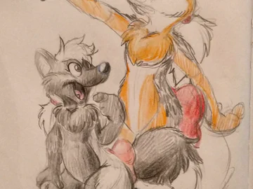 fox markings