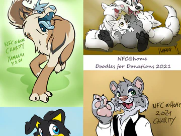 NFCatHome Doodles for Donations