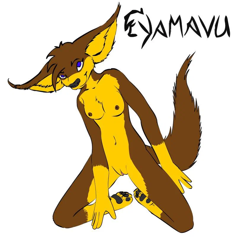 jamy3.jpg