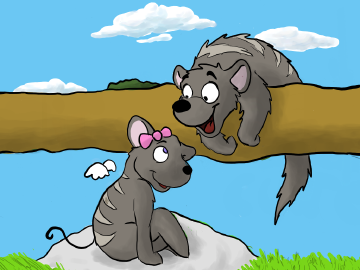 Mongooses in love