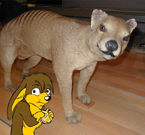 notenjoy.jpg