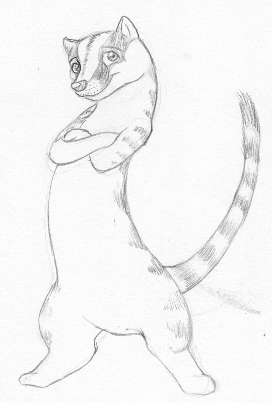 pencil-banded-palm-civet2-w.jpg