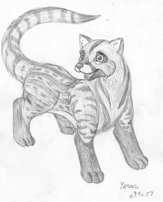 pencil-civet2.jpg