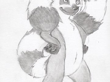 Joink the Ringtail