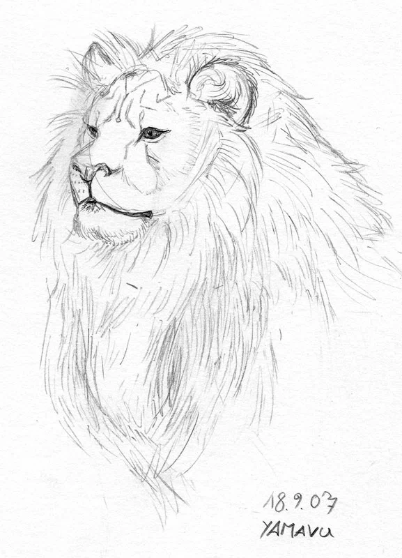 pencil-lion2.jpg