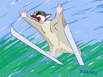 Sugarglider Skijump