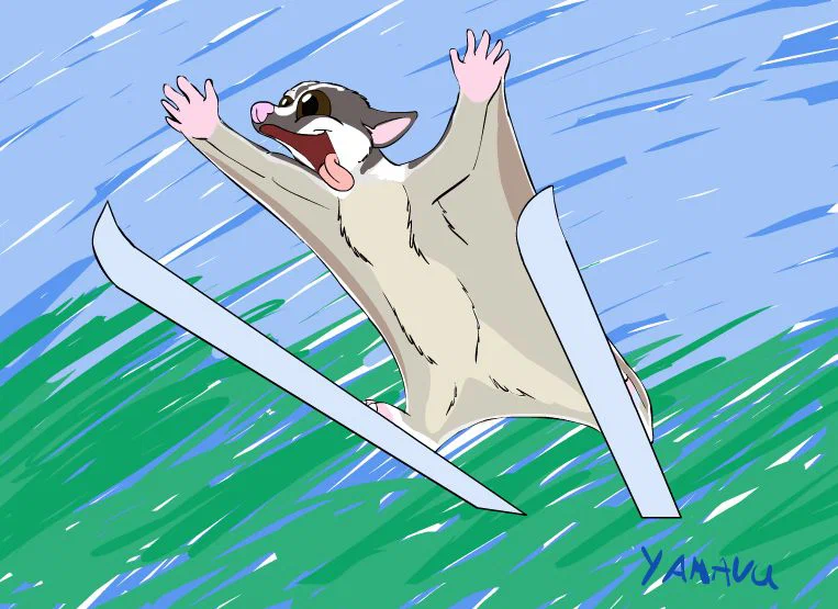 sugargliderskijump.jpg