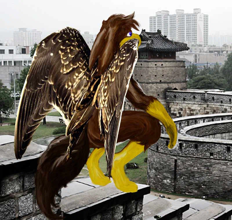 ya-wings-shad.jpg