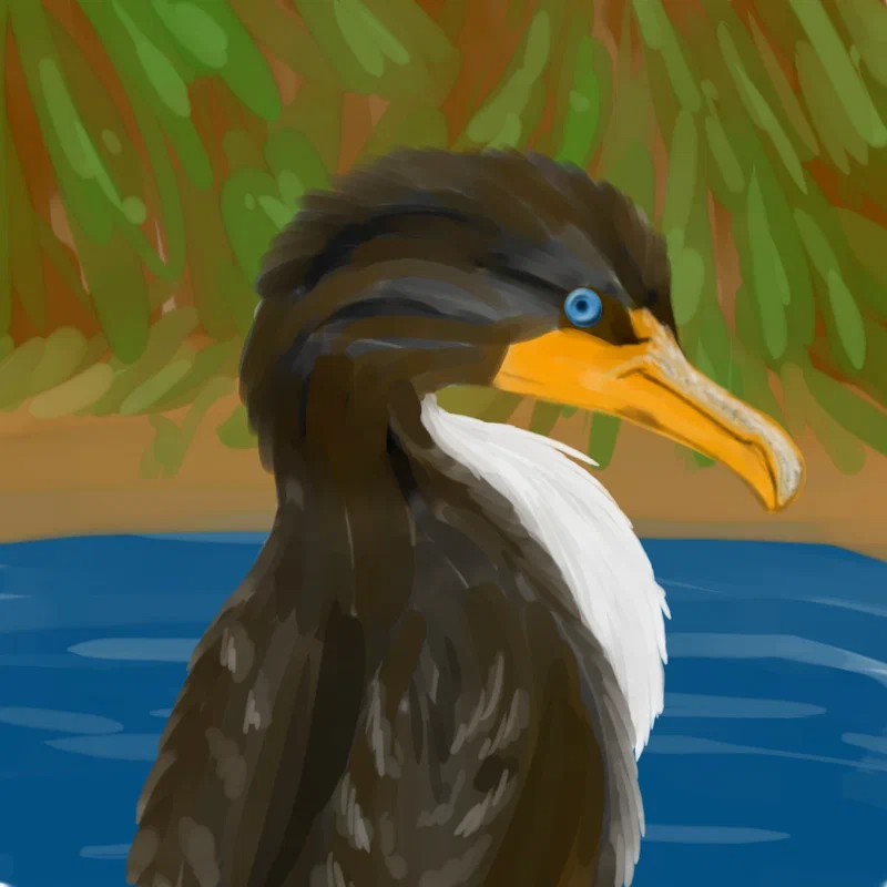 phalacrocorax-auritus.jpg