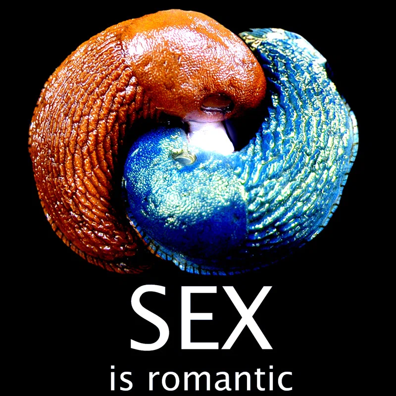 red-slug-sex.jpg