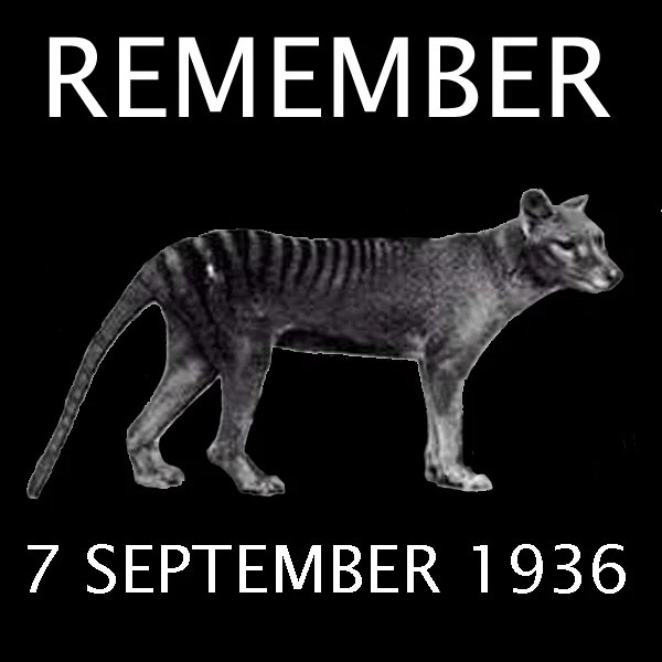 thylacine-remember.png