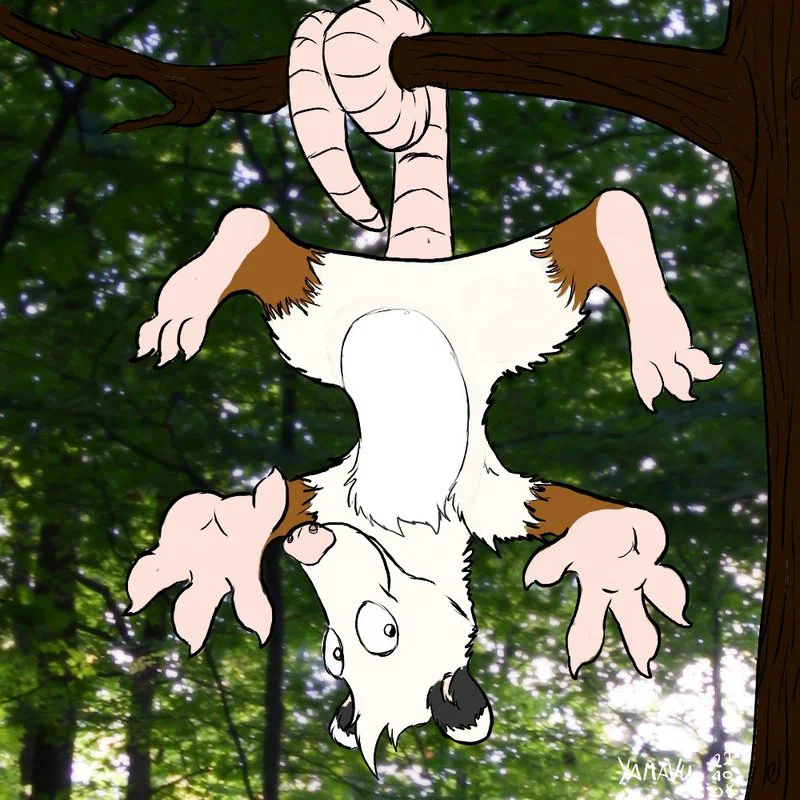 upside-down-by-yamavu.jpg