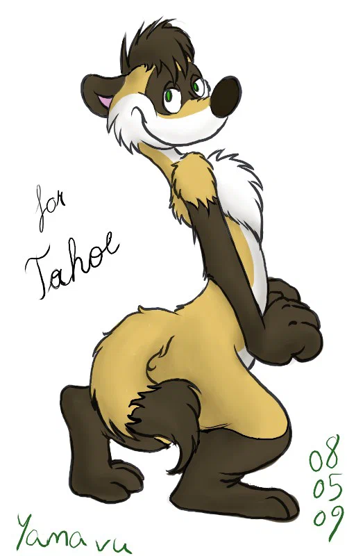 ferret-tahoe-thankee.jpg