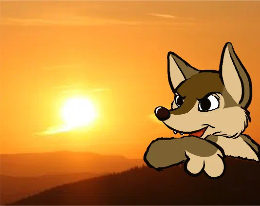 snirf-sunset.jpg