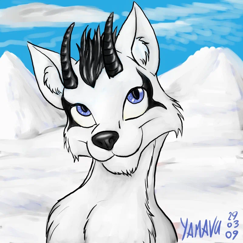 ustream-calopus-for-liska.jpg