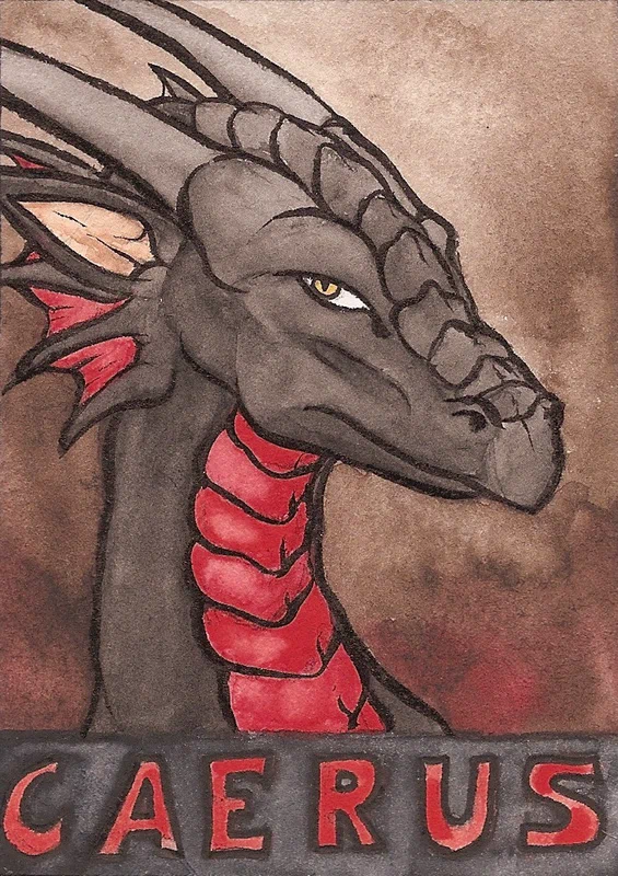 aceo-caerus.jpg