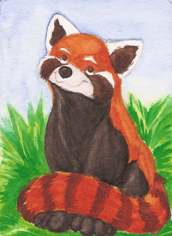 acep-redpanda.jpg