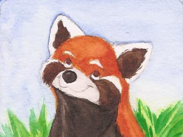 ACEO - Red Panda WIP