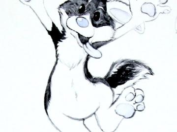 Muzz all toony