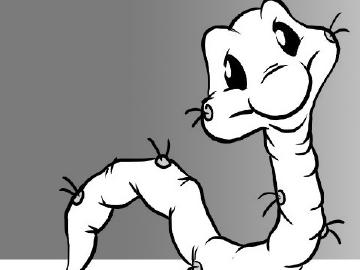 a worm
