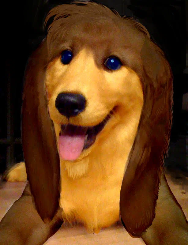 yamy-real-meme.jpg