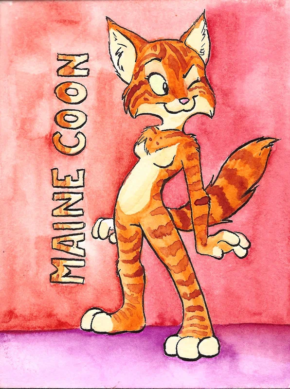 mainecoon.jpg