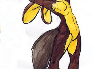 Yamy semianthro