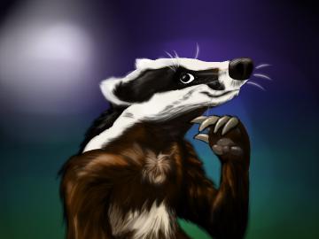 Badger Ponder