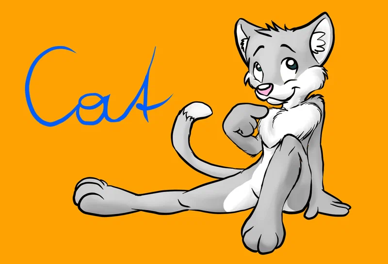 cat-orangebg.jpg