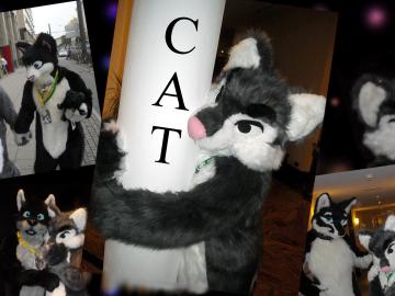 Cat (Fursuit #3)